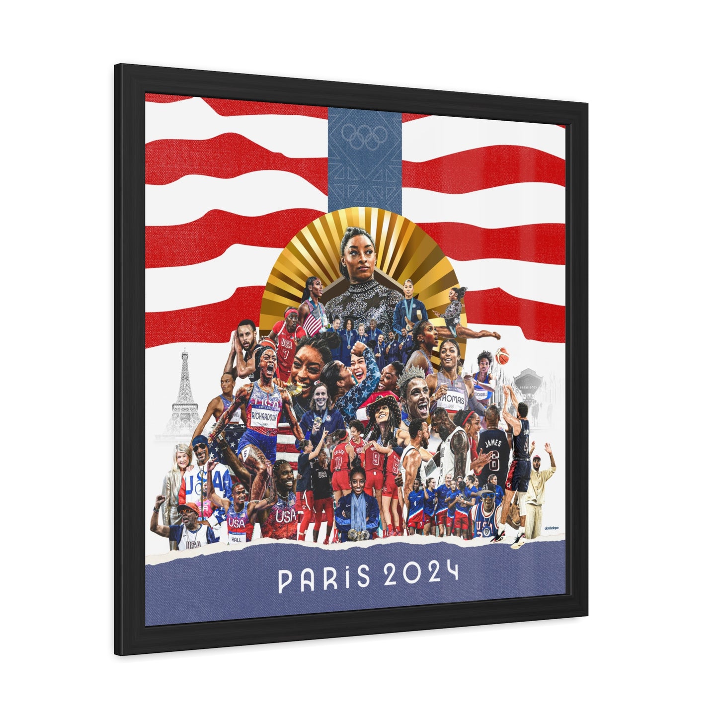 Team USA 2024 Framed Collage