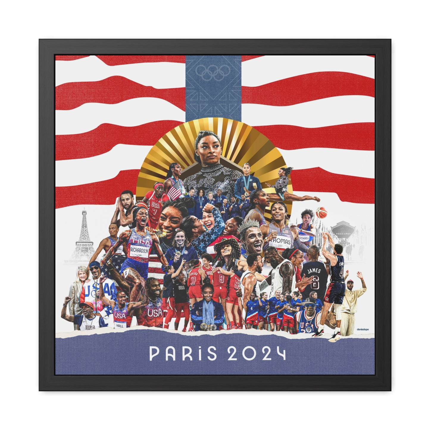 Team USA 2024 Framed Collage