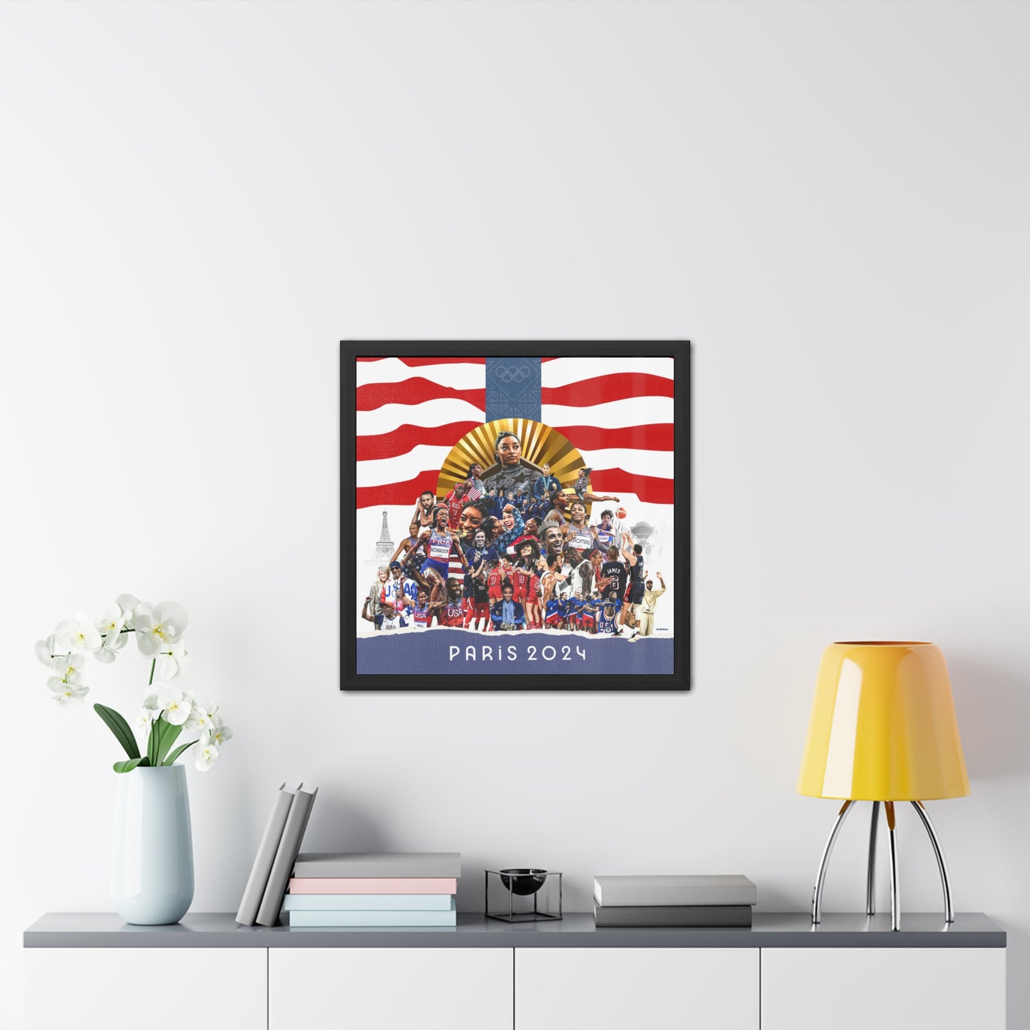 Team USA 2024 Framed Collage